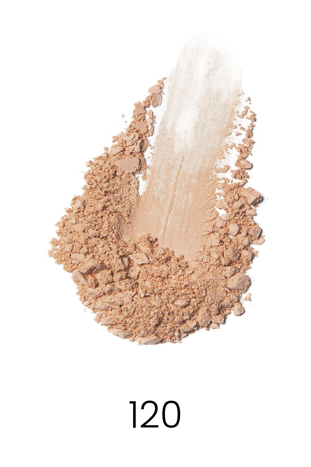Dual Blend Powder Foundation shade 120