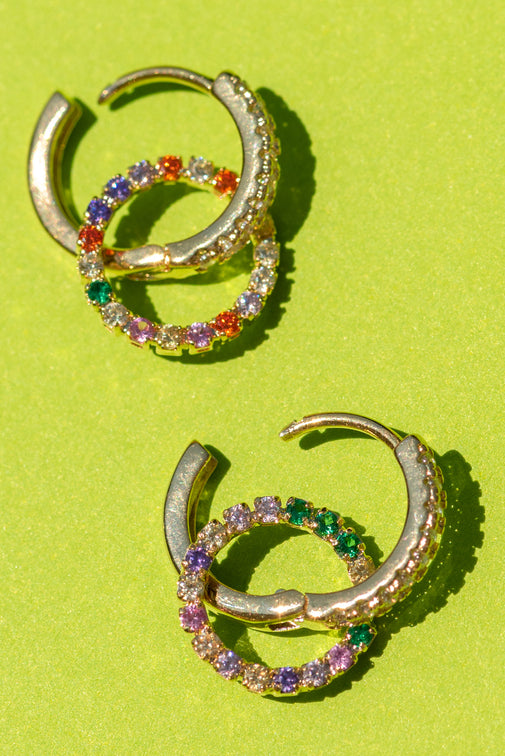 Type 1 Catch the Rainbow Earrings