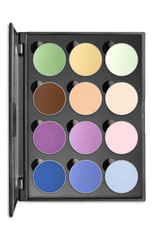 Type 1 Twelve Shadow Palette