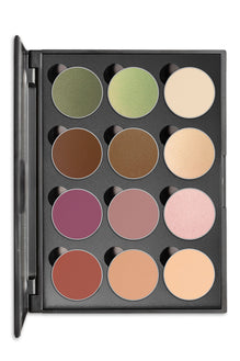 Type 3 Twelve Shadow Palette