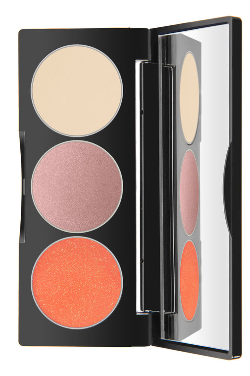 Three Palette – Refined Earthy Eyes