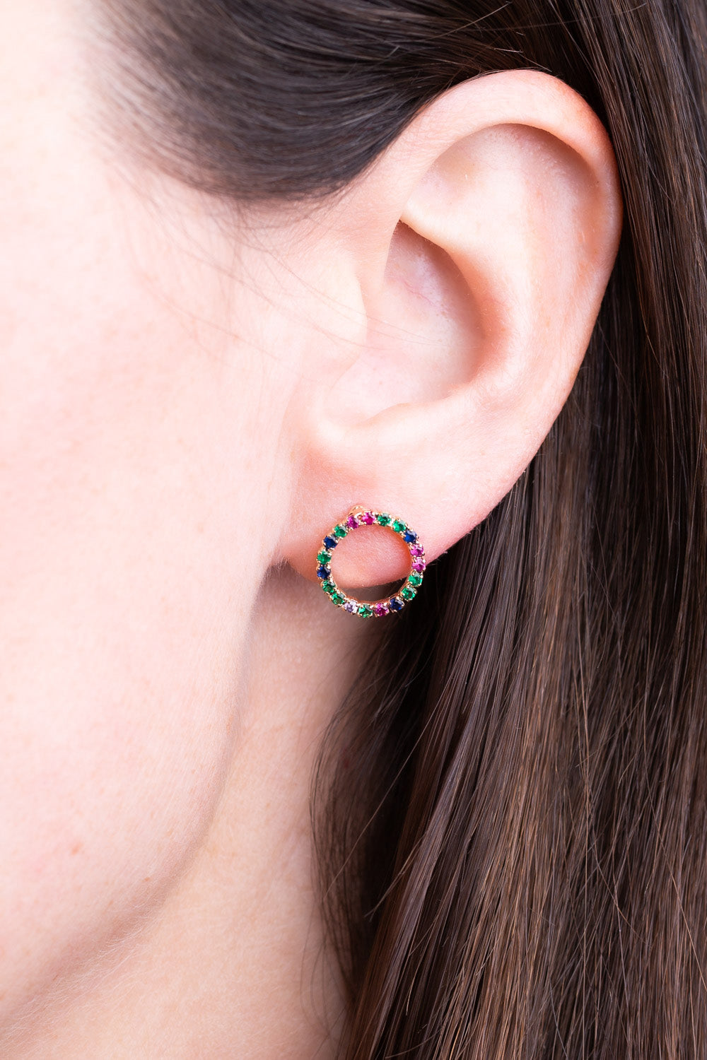 Type 1 Color Wheel Earrings