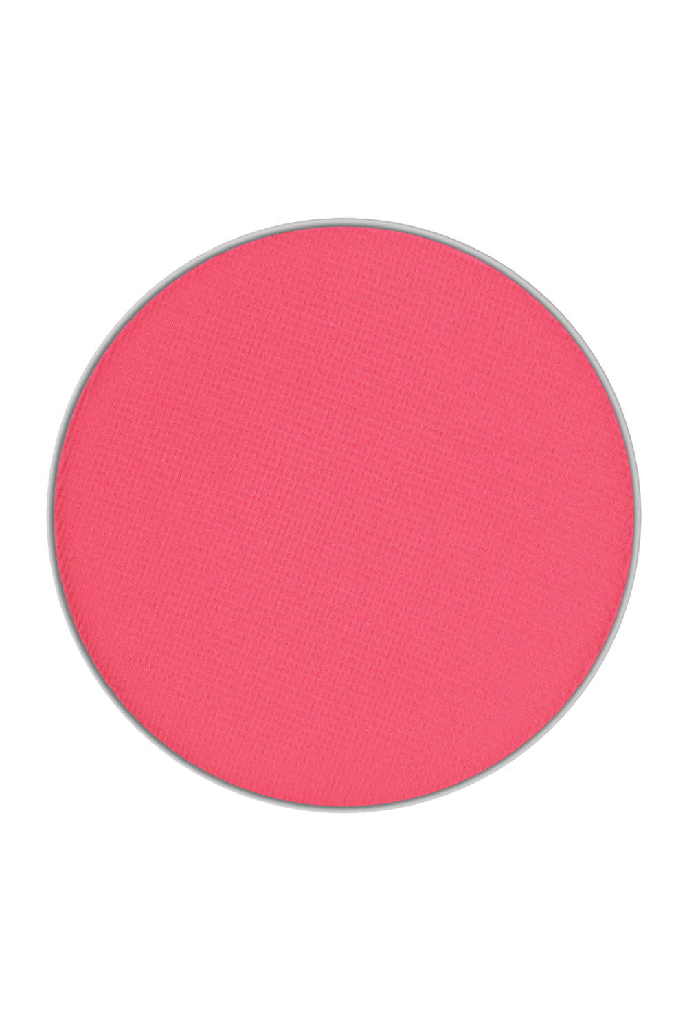 Tulip - Blush