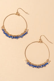 Type 1 Rhythm in Blues Earrings